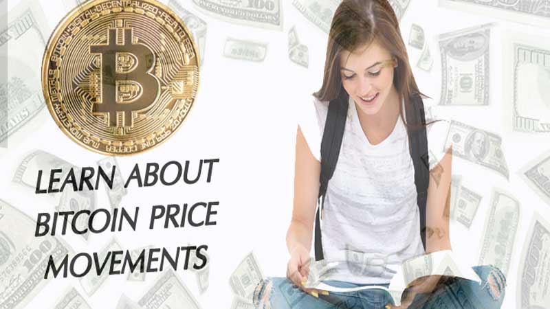 Need to Learn About Bitcoin’s Price Movements