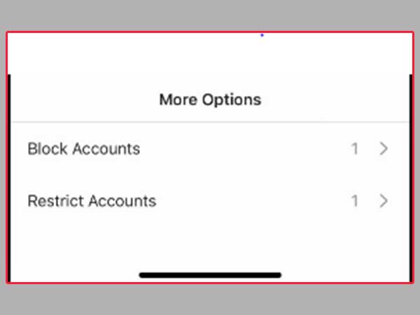  Tap More Options’ to block or restrict accounts in bulk.