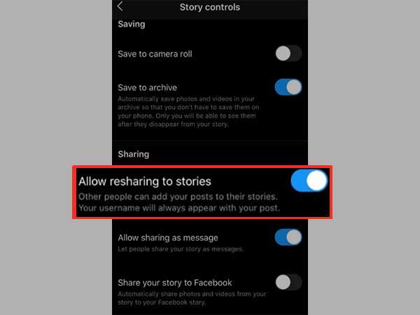 Go to the ‘Privacy’ section and tap on ‘Story’ to enable the “Allow Resharing to Stories” option.

