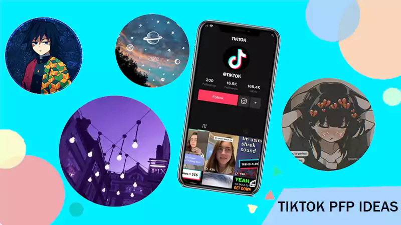 60 Cute, Cool, Funny and Good TikTok Profile Picture (PFP) Ideas to Attract Followers-To-Be!