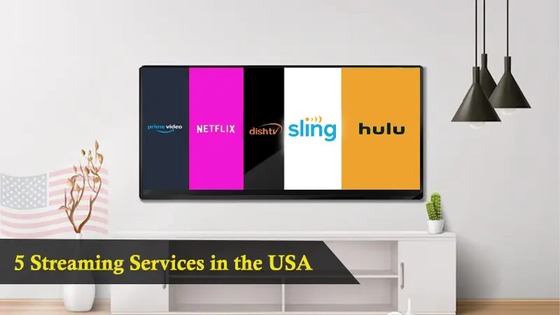 Top Services of Streaming In USA