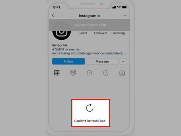 Receive error message “Could not refresh feed” on Instagram.