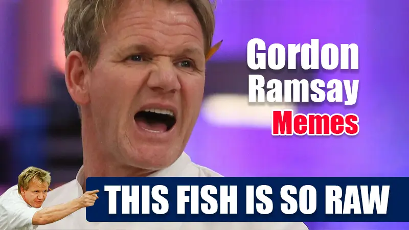 Gordon Ramsay Memes