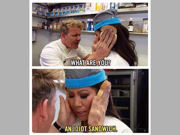 An Idiot Sandwich