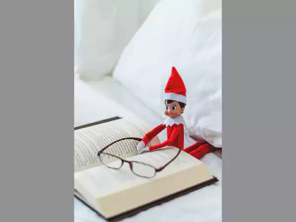 Elf is busy reading