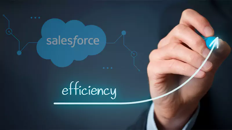 Efficiency of Your Salesforce