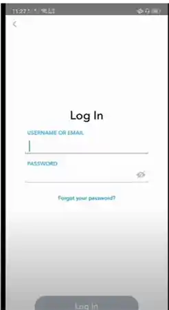 Fields for Log-In Credentials on Snapchat