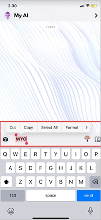 Type in ‘WYO’, ‘format the word’ by making it bold & decorating it with different colors