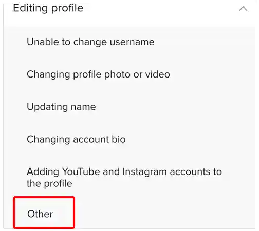 Select ‘Other’ in the editing profile menu.