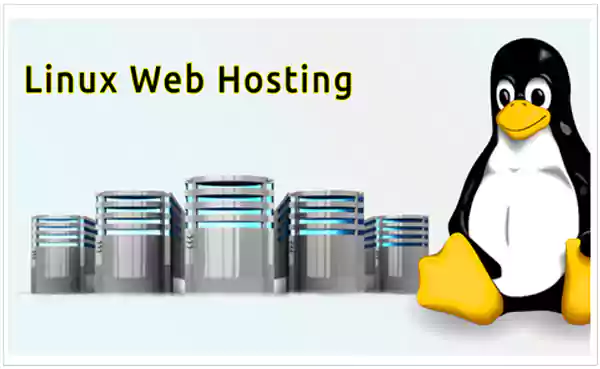 Linux web hosting 