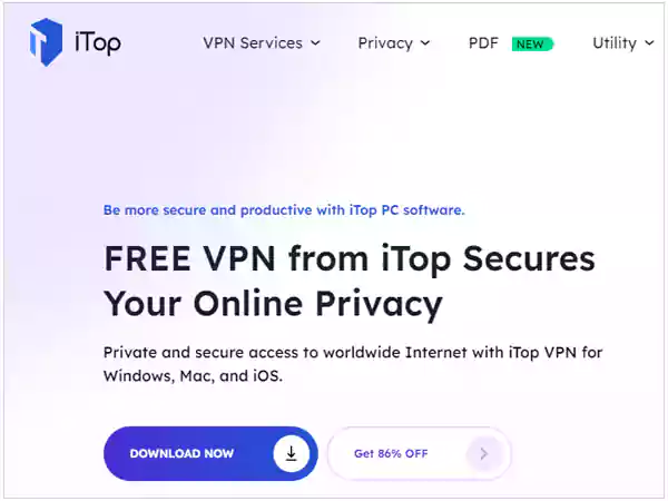 Top VPN homepage.webp