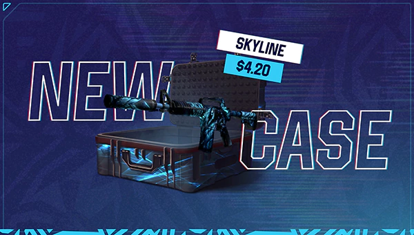 Skyline case