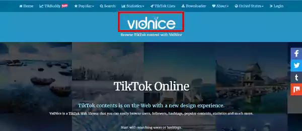 Vidnice Website