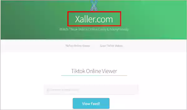 Xaller Website