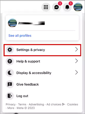 Settings and Privacy section