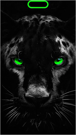 Black panther dynamic wallpaper for iPhone