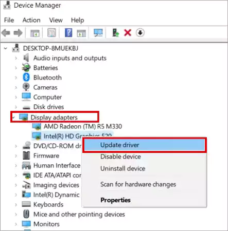 Expand Display Adapters and right click on its sub-menu to select the Update Driver option