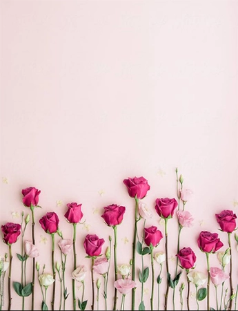 Pink Roses  Tik Tok profile picture