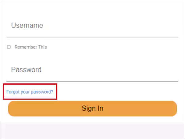 Click on the Forgot Your Password link