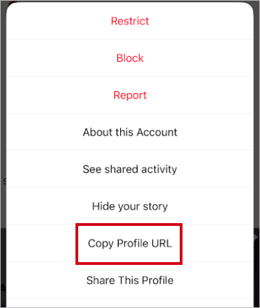 Copy Profile URL of other users to share