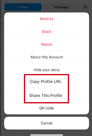 Tap the three dots icon and select Copy profile URL or Share This Profile option