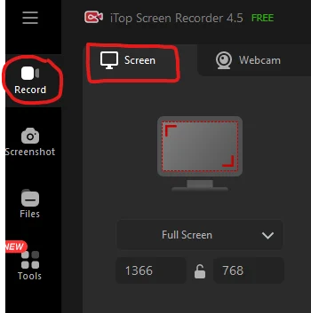 Click on “Record” and Then on “Screen”